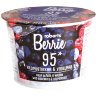 Roberts Berrie Wild Blueberry & Raspberry 100 ml