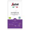 Segafredo Intenso Filter Coffee Organic RAC 450g